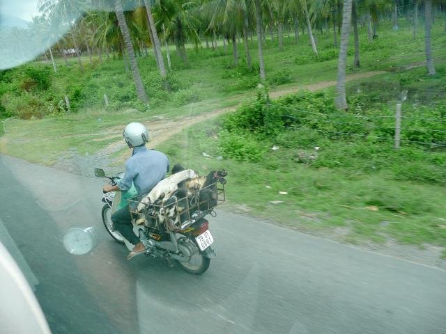 Urlaub in Vietnam 2007